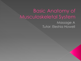 MASA_PowerPoint_Basic_Anatomy_of_Musculoskeletal_System
