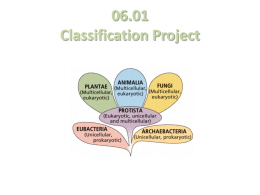 6_01 How to for Classification Project Linnaean - Biologyflvs-V15