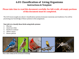 6.01 Classification of Living Organisms Instructions