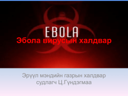 Эбола вирусын халдвар