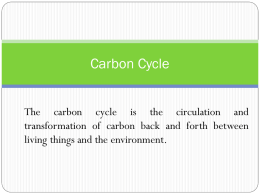 Carbon-Cycle