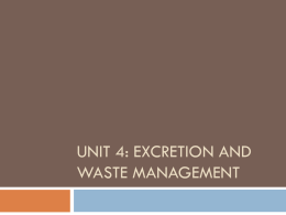 Unit 4: Excretion and Waste Management