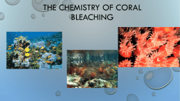 The Chemistry Behind Coral Reefs