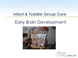 Early Brain Development - The Program for Infant/Toddler Care