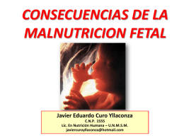 6 consecuencias de la malnutricion fetal