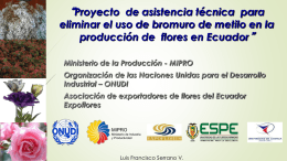 22.1 Proyecto Expoflores Ecuador Francisco Serrano