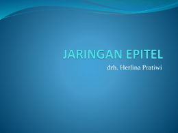 Jar.Epitel.edit1 - Herlina Pratiwi, DVM.