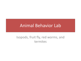 Animal Behavior Lab - Madison County Schools