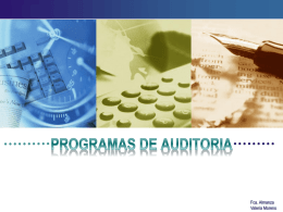 programas estándar de auditoria