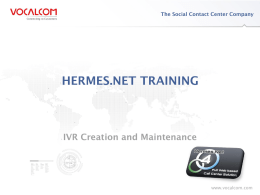 Hermes.net - CREATING AND MAINTAINING IVR MODULE