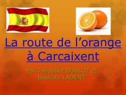 La route de l`orange à Carcaixent