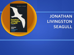 JONATHAN LIVINGSTON SEAGULL - Ethan