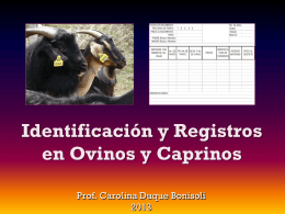 CD - Identificación y Registros
