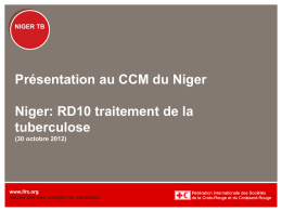 NIGER TB NIGER TB Présentation au CCM du Niger