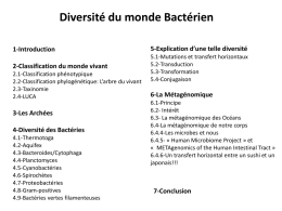 4-Diversité des Bactéries