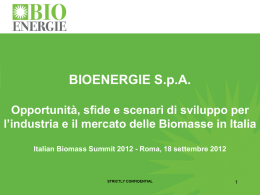 Intervento all`Italian Biomass Summit