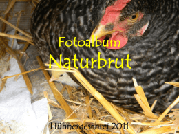 Fotoalbum Naturbrut