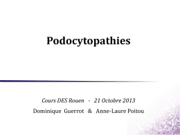Podocytopathies - nephrologierouen