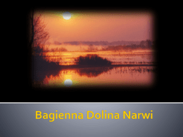 Bagienna Dolina Narwi - Natura 2000 a turystyka
