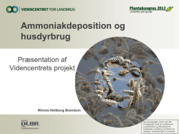 Ammoniakdeposition og husdyrbrug - Præsentation