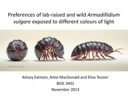 Preferences of lab-raised and wild Armadillidium vulgare exposed to