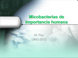 Micobacterias de importancia humana