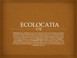 Ecolocatia - 11A-LPS