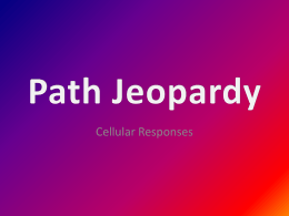 Path_Jeopardy