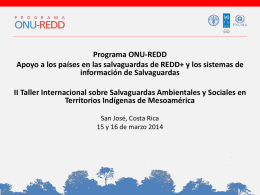 Programa ONU-REDD Apoyo a los países en las salvaguardas de