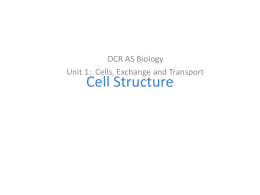 f211 cell structure