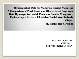 Hyperspectral Data for Mangrove Species Mapping