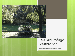 LSU Bird Refuge Restoration - exploringsustainabilitylsu