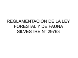 REGLAMENTACIÓN DE LA LEY FORESTAL Y DE FAUNA