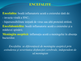 Encefalite