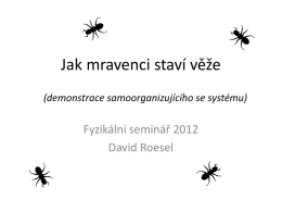 David Roesel: Jak mravenci staví věže - U3V na FJFI CVUT