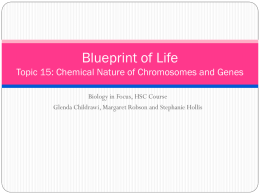 15.1.1 Chemical Nature of Chromosomes and Genes
