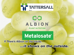 Albion - Tattersall.Capacitación Café