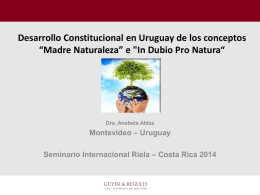 Desarrollo Constitucional en Uruguay de los conceptos