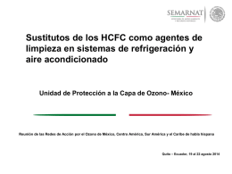 24. Mexico Sustitutos de Limpieza para los HCFC
