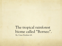 The Borneo biome - 18-108
