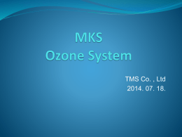 MKS Ozone System