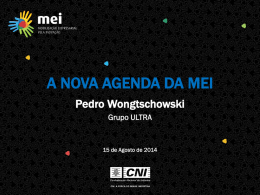 A Nova Agenda da MEI - Pedro Wongtschowski