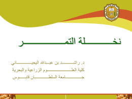 ورقة العمل 7 - Oman Chamber of Commerce