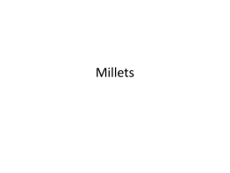 Millets (WASSAN)