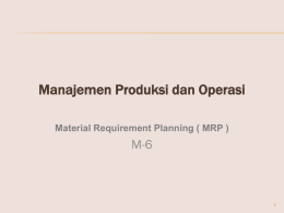 06-MPO-MRP