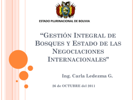 Presentación IBCE - RREE Ing. Carla Ledezma G.