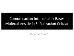 Comunicación Intercelular: Mecanismos de acción de
