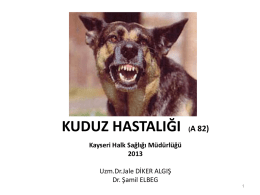 KUDUZ - Kayseri Halk Sağlığı Müdürlüğü