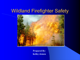 Wildland Safety - tukwilafiretraining.org