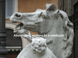 emga1011-1_contencao_cavalo